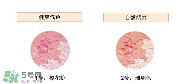 ѩ����÷����������ɫ�� ѩ���㻨��������ɫ